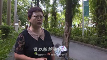 人要臉樹要皮！綠化樹遭惡意剝皮，城市綠化管理亟待加強
