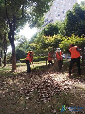 守護城市綠意｜錫山城管局秋季綠化養護工作紀實